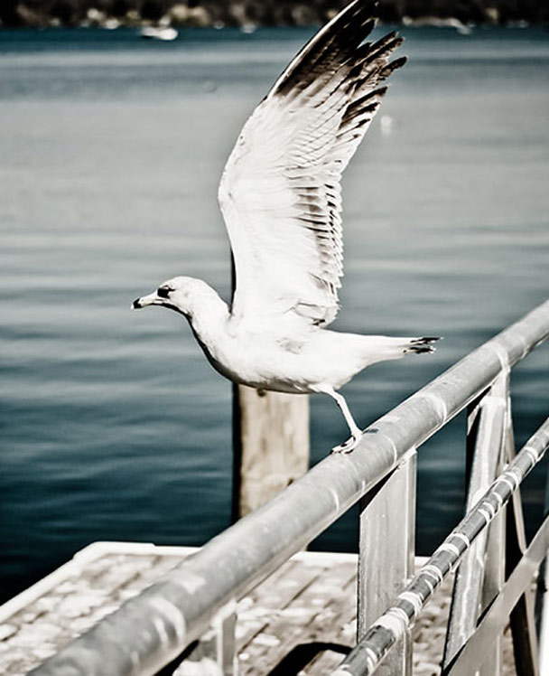 一手渠道的ddos攻击工具